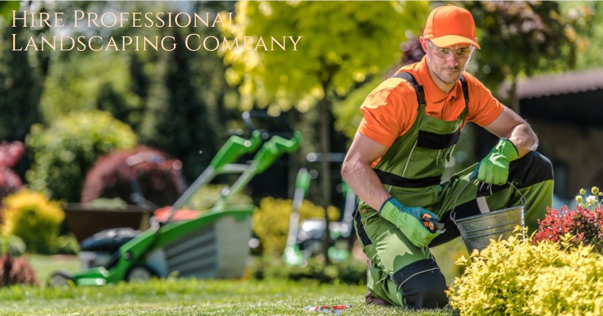 Why you should hire professional landscaping company?